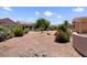 Expansive backyard with desert landscaping, mature trees, and colorful flowering bushes at 20007 N Siesta Rock Dr, Surprise, AZ 85374