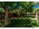 Private backyard featuring lush greenery, mature trees and manicured landscaping at 24348 S 201St Ct, Queen Creek, AZ 85142