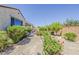 Well-maintained backyard featuring desert landscaping, a covered patio, and private outdoor living space at 27413 W Tonopah Dr, Buckeye, AZ 85396