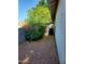 A side yard landscape features colorful shrubbery, decorative gravel, and an air conditioning unit at 351 S Apache Dr, Chandler, AZ 85224