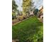 Lush backyard featuring healthy green grass, mature trees, and a tranquil ambiance at 3823 E Kroll Dr, Gilbert, AZ 85234