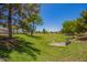 A vast, green community park providing a serene and picturesque setting for recreation and relaxation at 3823 E Kroll Dr, Gilbert, AZ 85234
