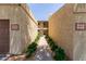 Inviting walkway with green landscaping leads to condo units in a well-maintained complex at 8301 N 21St Dr # F102, Phoenix, AZ 85021