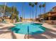 Outdoor community pool surrounded by tall palm trees and lounge chairs at 8301 N 21St Dr # F102, Phoenix, AZ 85021