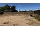 View of the large backyard featuring privacy block fencing and mature trees at 1039 E Broadway Rd, Mesa, AZ 85204