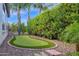Backyard putting green, surrounded by lush greenery, palm trees and desert landscaping, provides a private recreational space at 1462 E Sweet Citrus Dr, Queen Creek, AZ 85140