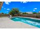 Backyard swimming pool featuring a lush tree, built-in grill and brick perimeter wall at 1638 N Avoca --, Mesa, AZ 85207