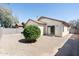 Backyard features a patio and a tree for shade at 2174 W Kristina Ave, San Tan Valley, AZ 85144