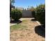 Well-maintained backyard with fresh grass, concrete edging, and privacy fencing at 2501 E Pebble Beach Dr, Tempe, AZ 85282