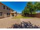 Large backyard with grass, a mature tree, and a covered patio area at 3065 E Harvard Ave, Gilbert, AZ 85234