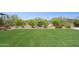 Lush backyard featuring an artificial lawn, mature trees, landscaping, and a tiered water fountain at 31320 N 54Th Pl, Cave Creek, AZ 85331