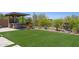 Landscaped backyard with artificial turf, built-in BBQ area, and desert plants at 31320 N 54Th Pl, Cave Creek, AZ 85331