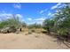 Tranquil desert landscape featuring native trees under a bright, partly cloudy sky at 4530 E White Feather Ln, Cave Creek, AZ 85331