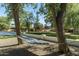Serene backyard hammock strung between mature trees with a sprawling lawn and privacy wall beyond at 5112 N 41St St, Phoenix, AZ 85018