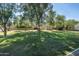 Large, grassy backyard with mature trees offering ample shade and a charming chicken coop at 5112 N 41St St, Phoenix, AZ 85018