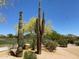 Beautiful desert landscaping featuring mature cacti and desert plants with a walking path at 5650 E Ocupado Dr, Cave Creek, AZ 85331