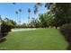 A large backyard with lush grass, palm trees and a fenced-in pool area at 6525 N 3Rd St, Phoenix, AZ 85012