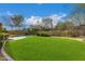 Lush green backyard with artificial turf, swimming pool, and desert landscaping at 8298 E Tailfeather Dr, Scottsdale, AZ 85255