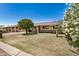 Inviting single-Gathering home with a lush front lawn and beautiful flowering bushes at 844 E Ruth Ave, Phoenix, AZ 85020