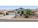 Well-manicured front yard with a stone mailbox, palm tree, and two-car garage at 8776 E Brilliant Sky Cir, Gold Canyon, AZ 85118