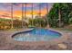 Beautiful backyard pool with lush landscaping, tall palm trees, and serene sunset views at 11822 S Coconino St, Phoenix, AZ 85044