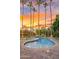 Sunset view of the backyard pool surrounded by landscaping with palm trees at 11822 S Coconino St, Phoenix, AZ 85044