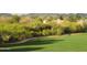 Picturesque golf course view showcasing lush greens and mature trees at 12222 N Paradise Village S Pkwy # 325, Phoenix, AZ 85032