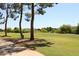 Views of the golf course at 12222 N Paradise Village S Pkwy # 325, Phoenix, AZ 85032