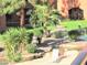 Community pool with lounge chair, mature trees, and a small bridge at 12222 N Paradise Village S Pkwy # 325, Phoenix, AZ 85032
