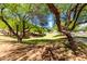 Scenic view of a grassy field with trees, providing a tranquil setting for outdoor enjoyment and relaxation at 14112 W Larkspur Dr, Surprise, AZ 85379