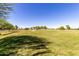 Expansive open field perfect for recreational activities and sports, surrounded by trees and clear blue sky at 14112 W Larkspur Dr, Surprise, AZ 85379