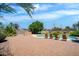 Expansive backyard with a well-maintained lawn, mature trees, and a spacious brick patio, perfect for entertaining at 18428 N 42Nd St, Phoenix, AZ 85032