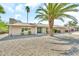Charming single-story home featuring a well-maintained gravel front yard and mature palm trees at 18428 N 42Nd St, Phoenix, AZ 85032