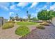 Expansive yard with mature landscaping at 18428 N 42Nd St, Phoenix, AZ 85032