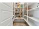 Walk-in pantry with ample shelving for organized storage of food and supplies at 22306 N 34Th Pl, Phoenix, AZ 85050