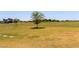 Expansive community park featuring mature trees and walking paths, perfect for outdoor recreation and relaxation at 3507 E Alfalfa Dr, Gilbert, AZ 85298