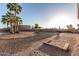 Landscaped backyard featuring mature palm trees, rock ground cover, and a horse shoe set at 3927 E Vista Grande --, San Tan Valley, AZ 85140