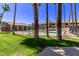 Community pool area enclosed by a fence and lined with mature palm trees, lounge chairs, and lush green grass at 533 W Guadalupe Rd # 2126, Mesa, AZ 85210