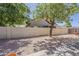 Large backyard features a block wall and mature trees offering shade and privacy at 656 W Devon Ct, Gilbert, AZ 85233