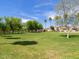 Green space with mature trees creates a serene setting, perfect for outdoor enjoyment at 8723 E Kiowa Ave, Mesa, AZ 85209