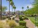 Street view featuring a home with a well-maintained landscape with palm trees and other beautiful landscaping at 8723 E Kiowa Ave, Mesa, AZ 85209