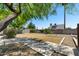 Lush backyard featuring mature trees and a well-maintained lawn at 105 E Hermosa Dr, Tempe, AZ 85282