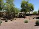 View of backyard featuring natural landscaping and a low block wall for enhanced privacy at 12417 W Apache St, Avondale, AZ 85323