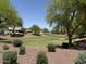 Scenic green space featuring lush grass and mature trees, perfect for outdoor enjoyment at 12417 W Apache St, Avondale, AZ 85323