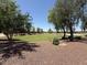 Beautifully maintained green space with mature trees, offering a peaceful and serene environment at 12417 W Apache St, Avondale, AZ 85323