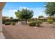 Expansive backyard featuring desert landscaping, a raised garden, and blooming trees, offering privacy and beauty at 13414 W San Pablo Dr, Sun City West, AZ 85375