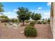 Spacious backyard with a raised garden, mature trees, and desert landscaping, offering a serene outdoor space at 13414 W San Pablo Dr, Sun City West, AZ 85375
