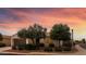 Charming single-story home featuring a manicured front yard, mature trees, and a cozy curb appeal at 13414 W San Pablo Dr, Sun City West, AZ 85375