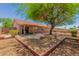 Spacious backyard with desert landscaping, patio, and shade tree offers a serene outdoor space at 1492 E Westchester Dr, Chandler, AZ 85249