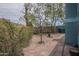 Backyard view featuring mature trees, desert plants, and a walkway, offering a private and serene outdoor space at 1637 W University Dr, Mesa, AZ 85201